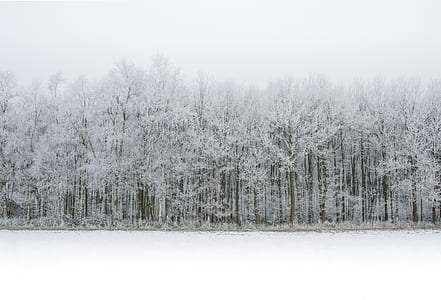 cold, snow, landscape, sky thumbnail