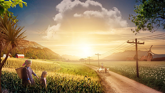 woman near girl walking grass during daytime thumbnail