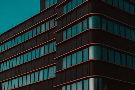 closeup photography of building thumbnail