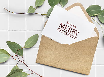 Have a Very Merry Christmas Greeting Card thumbnail