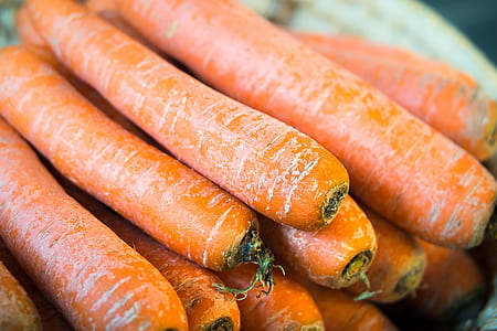 carrot lot thumbnail