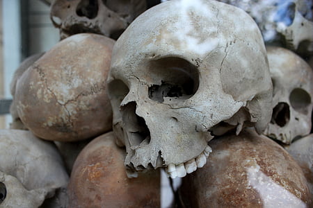 human skull stack thumbnail