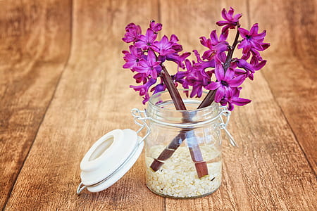 purple flower on clear glass jar thumbnail