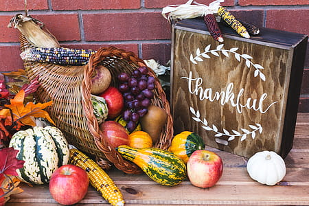 Thanksgiving Cornucopia Photo thumbnail