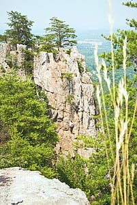 mountain peak surrounded by trees thumbnail