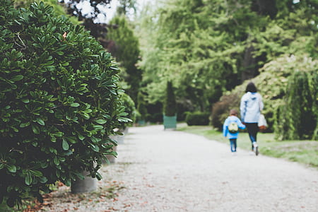 woman and child walking on road near bush thumbnail