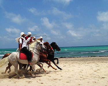 group of men riding horses beside seashore thumbnail