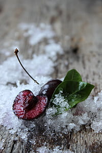 Close-up of Frozen Leaf thumbnail