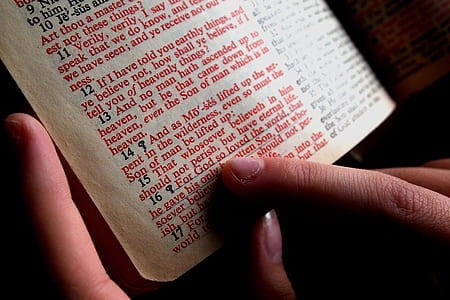person reading a book thumbnail