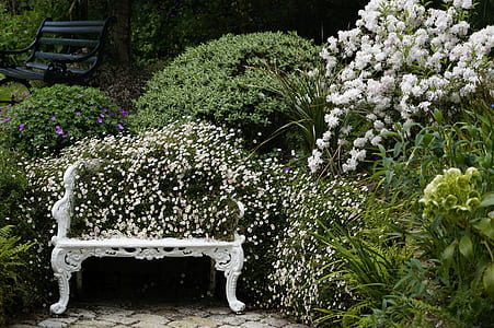 bench filled with flowers thumbnail