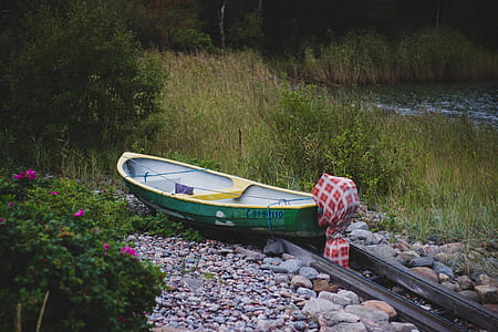 landscape, water, flowers, rocks thumbnail