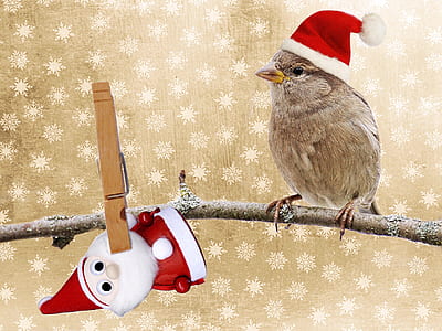 brown bird on tree branch thumbnail