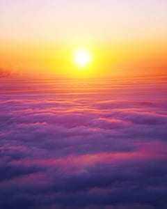 fogs during golden hour thumbnail