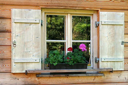 black planter box on window ledge thumbnail