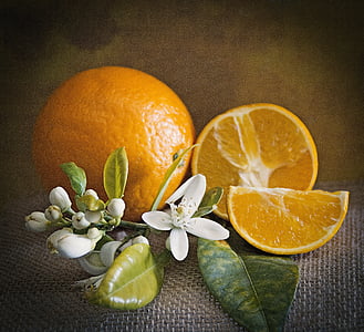 sliced orange on gray surface thumbnail