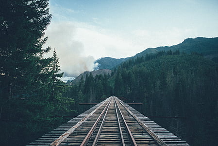 brown railway through green trees mountain during daytime thumbnail