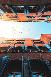 worms eye photography of brown commercial buildings with flying birds under the blue sky thumbnail