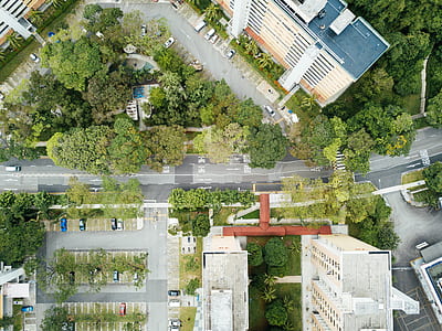 bird's-eye view of trees near building thumbnail