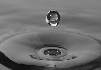 close-up grayscale photography of droplet of water above body of water thumbnail