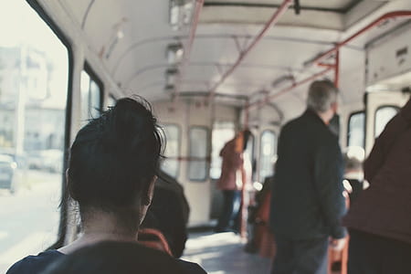 people inside bus at daytime thumbnail