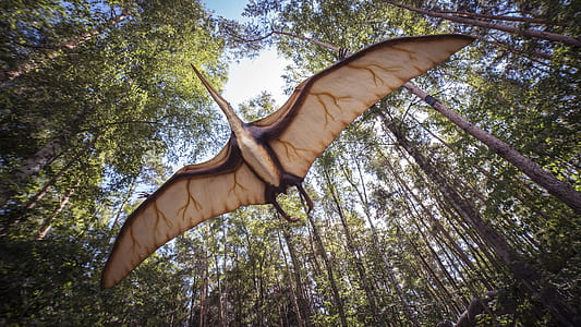 closeup photo of flying dinosaur near trees thumbnail