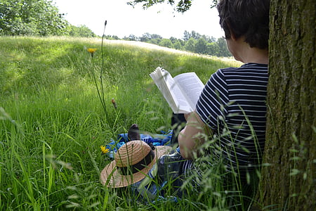person reading book under tree thumbnail