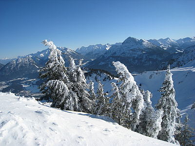 snow covered trees thumbnail