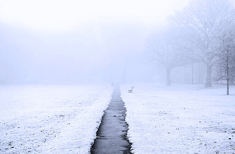 gray pathway between ground covered with snow with fog thumbnail