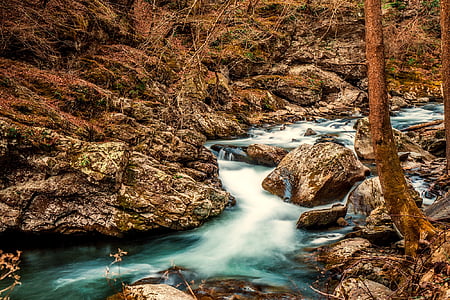 body of water and tree thumbnail