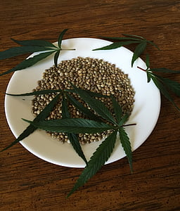 green seed in white plate thumbnail