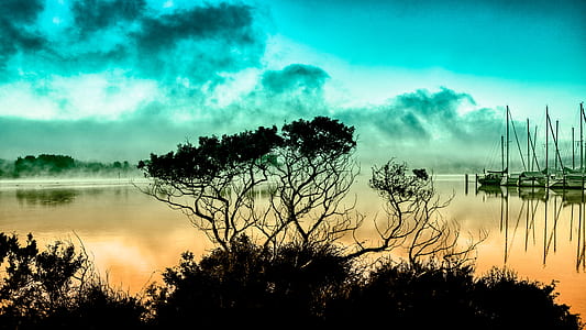 silhouette photo of trees beside lake thumbnail