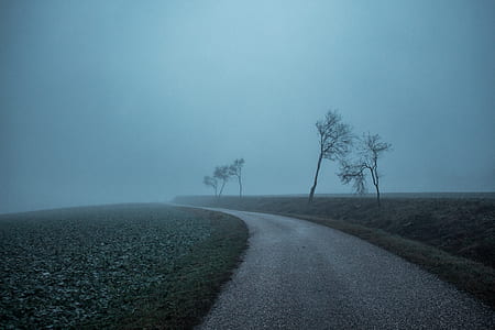 pathway in middle of grass field with mist thumbnail