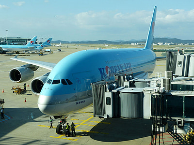 blue and white commercial airplane during daytime thumbnail