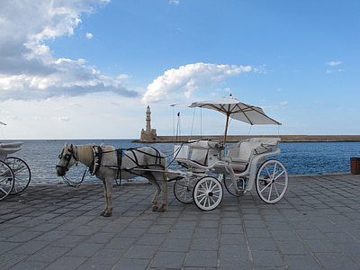 white horse carriage near ocean during daytime thumbnail