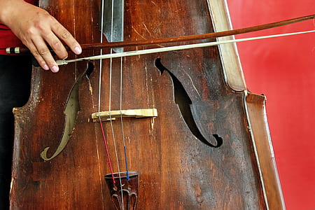 person playing cello thumbnail