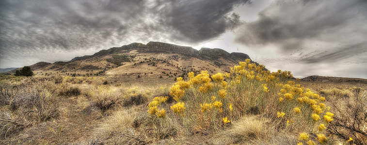 Panorama, National Forest thumbnail