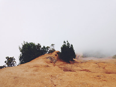 low angle photography of hill with trees and fog during daytime thumbnail