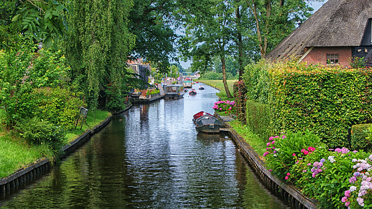 spring river between green trees thumbnail
