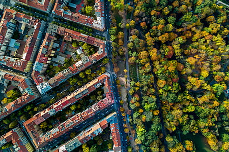 Amazing view on the historic buildings of Prague and autumn park. Aerial view. thumbnail