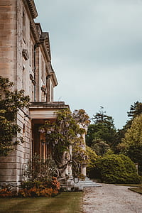 3-storey house during daytime thumbnail
