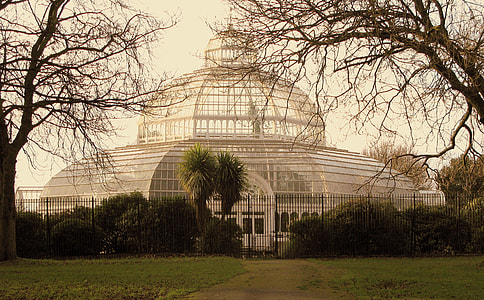The Palm House In Sefton Park Liverpool, England thumbnail