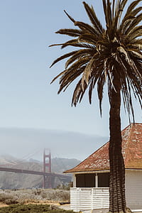 white and brown house near Golden Gate Bridge thumbnail