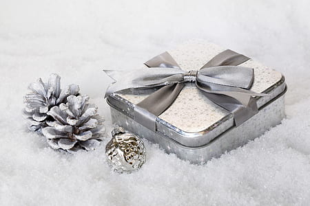 square white and gray case and gray pine cones thumbnail