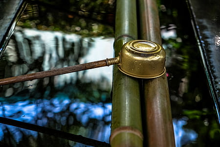 wood, landscape, landmark, water thumbnail