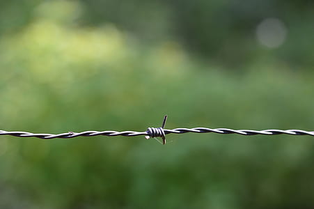 steel, wire, barbed wire, security thumbnail