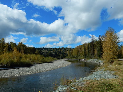 trees near body of water thumbnail