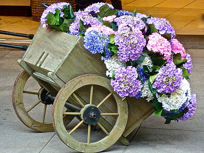 purple and pink hydrangea flowers inside brown wagon thumbnail