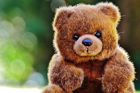brown bear plush toy shallow focus photography thumbnail