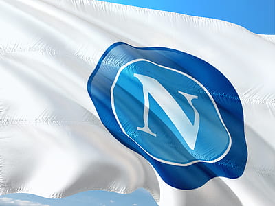 blue and white N flag thumbnail