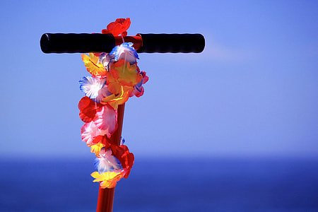 black and red kick scooter handlebar with decorative flowers thumbnail